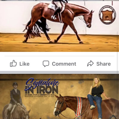 SIGNATURE IN IRON First time shown Penny in 8 years… 
tied for 15th in the SR HUS ended up 16th out of a great set of horses at the All American congress 
2x NSBA World Champion HUS Multiple Congress top 10 HUS