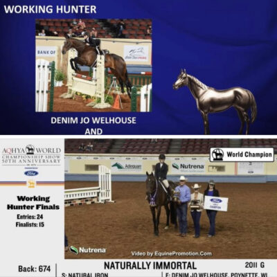 AQHYA World Champions and 2 x Year End High Point in Youth Working Hunter, Denim Welhouse and Naturally Immortal!
NSBA World Champion 
by Natural Iron 
bred by Rick Skelly Quarter Horses